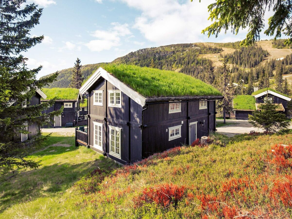 Holiday house 10 Personen Ferienhaus in Fåvang - Outdoor photo 2