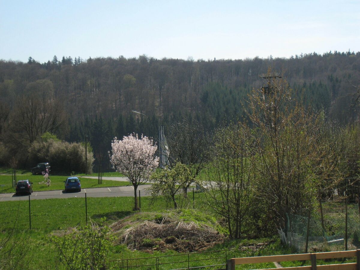 Holiday house Geräumiges Ferienhaus in Stipshausen mit Terrasse - Outdoor photo 2