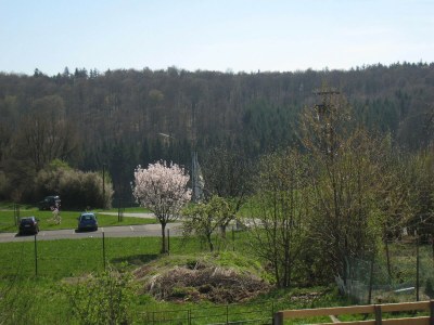 Holiday house Geräumiges Ferienhaus in Stipshausen mit Terrasse - Outdoor photo 2