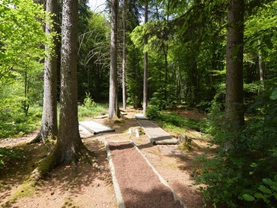 Holiday house Geräumiges Ferienhaus in Stipshausen mit Terrasse - Environment photo 14