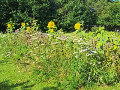 Holiday house Modern Woodland Retreat-By Traum - Outdoor photo 11