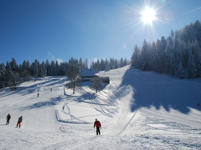Holiday house Ferienhaus mit Terrasse in Lotharingen - Environment photo 19