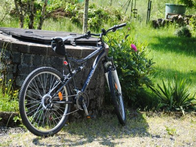 Holiday house Ferienhaus mit Terrasse in Lotharingen - Outdoor photo 23