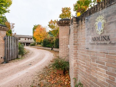 Farmhouse Belvilla by OYO Aiolina - Features photo 12