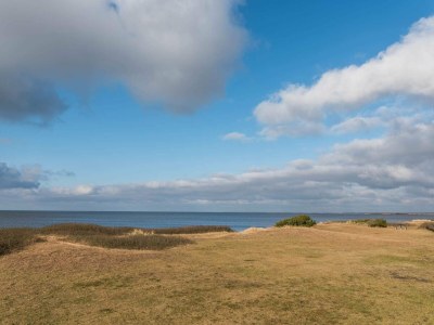 Holiday house Seaside Cozy Cottage-By Traum - Outdoor photo 31