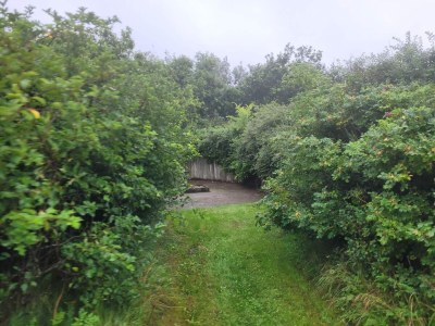 Holiday house Seaside Cozy Cottage-By Traum - Outdoor photo 37