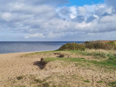 Holiday house Seaside Cozy Cottage-By Traum - Outdoor photo 40