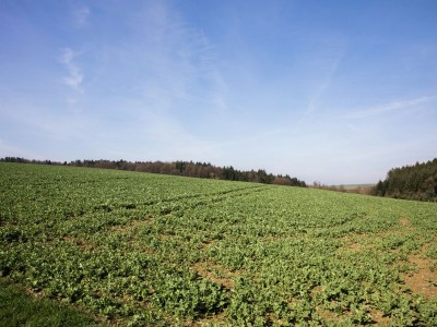 Apartment Wohnung in Beltheim (Deutschland) mit Pool - Environment photo 29