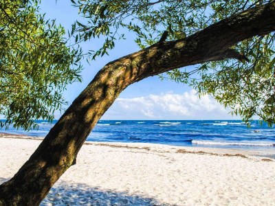 Holiday park 6 person holiday home in Allinge - Outdoor photo 9