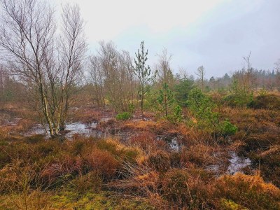 Holiday house 6 Personen Ferienhaus in Nørre Nebel - Outdoor photo 4