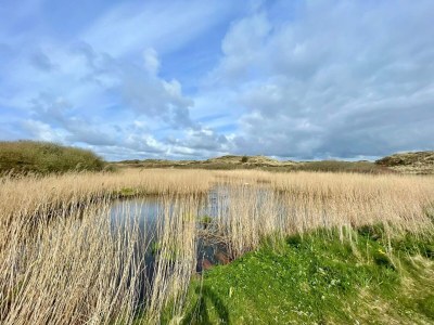 Holiday house 6 Personen Ferienhaus in Nørre Nebel - Outdoor photo 10