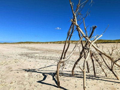Holiday house 6 Personen Ferienhaus in Nørre Nebel - Outdoor photo 28