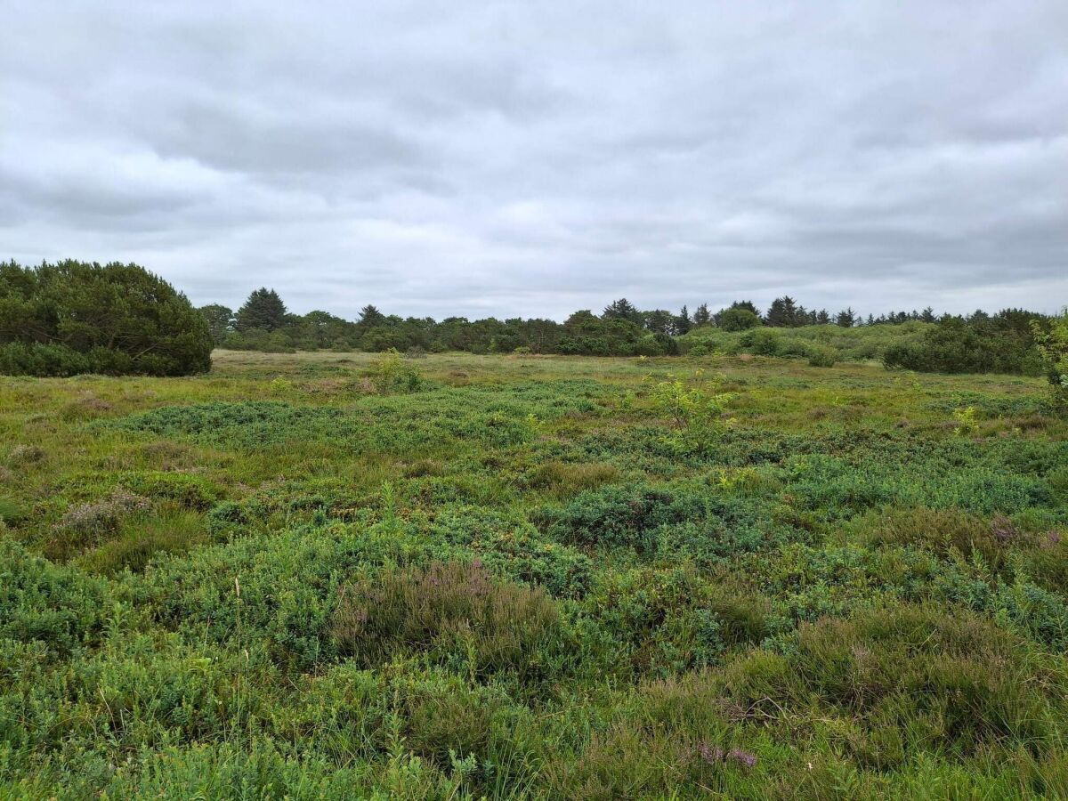 Holiday house 6 Personen Ferienhaus in Tarm - Outdoor photo 4