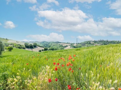 Holiday house Abgelegenes Ferienhaus in Torchiaro mit Garten - Environment photo 38
