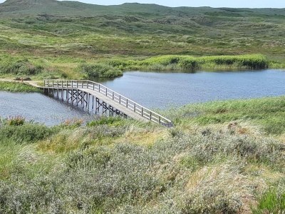 Holiday house 4 person holiday home in Nørre Nebel - Outdoor photo 7