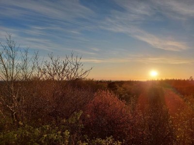 Holiday house 4 person holiday home in Nørre Nebel - Outdoor photo 18