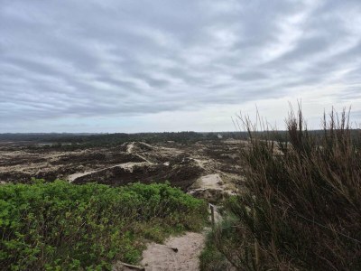 Holiday house 4 person holiday home in Nørre Nebel - Outdoor photo 19