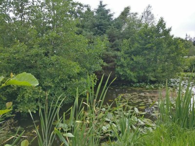 Holiday house 4 person holiday home in Nørre Nebel - Outdoor photo 23