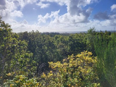 Holiday house 4 person holiday home in Nørre Nebel - Outdoor photo 7