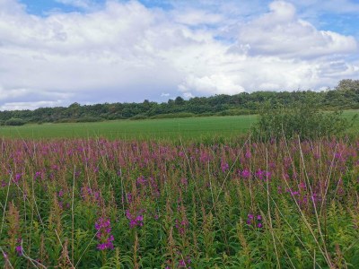 Holiday house 4 person holiday home in Nørre Nebel - Outdoor photo 26