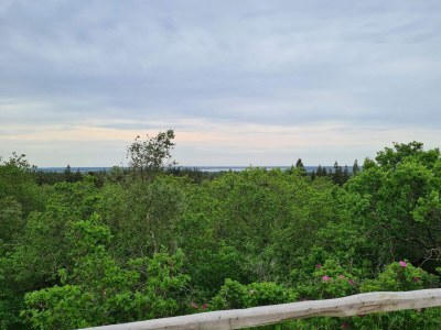 Holiday house 4 person holiday home in Nørre Nebel - Outdoor photo 30