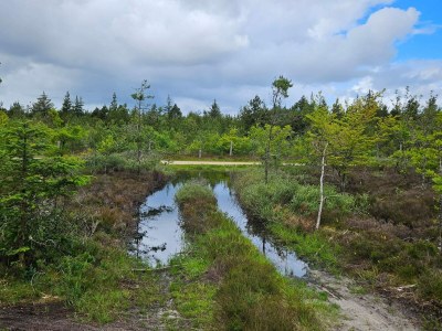Holiday house 4 person holiday home in Nørre Nebel - Outdoor photo 31