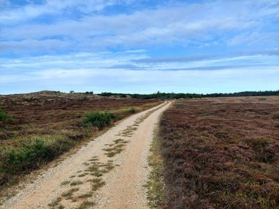 Holiday house 4 person holiday home in Nørre Nebel - Outdoor photo 35