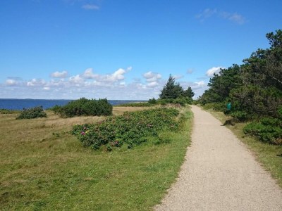 Holiday house 6 person holiday home in Tarm - Outdoor photo 19