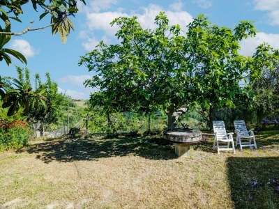 Holiday house Ferienhaus in Torchiaro mit Garten - Outdoor photo 7