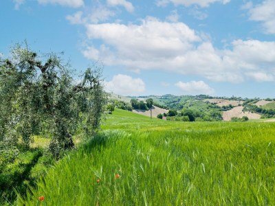 Holiday house Ferienhaus in Torchiaro mit Garten - Environment photo 32