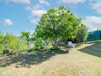 Holiday house Ferienhaus in Torchiaro mit Garten - Environment photo 33