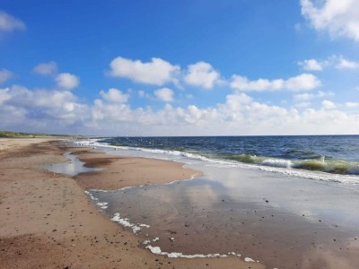 Holiday house 6 Personen Ferienhaus in Nørre Nebel - Outdoor photo 19
