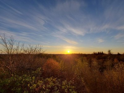 Holiday house 18 person holiday home in Nørre Nebel - Outdoor photo 13