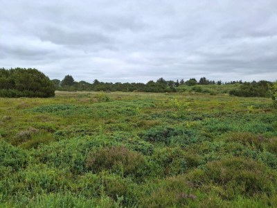 Holiday house 8 Personen Ferienhaus in Tarm - Outdoor photo 37