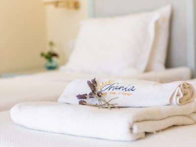 Villa Villa in Vasiliki with Private Pool & Beaches - Outdoor photo 40