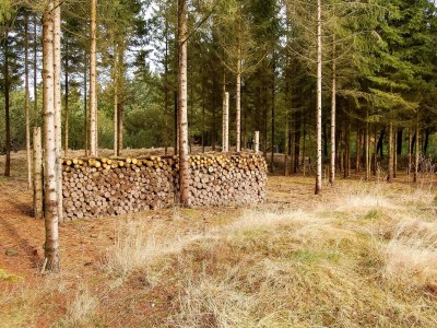 Holiday house 6 person holiday home in Nørre Nebel - Outdoor photo 10