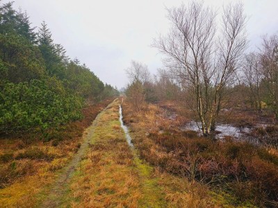 Holiday house 6 person holiday home in Nørre Nebel - Outdoor photo 13
