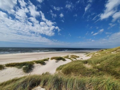 Holiday house Holiday Oasis in Houstrup Nature - Outdoor photo 12