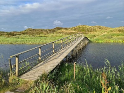 Holiday house Holiday Oasis in Houstrup Nature - Outdoor photo 34