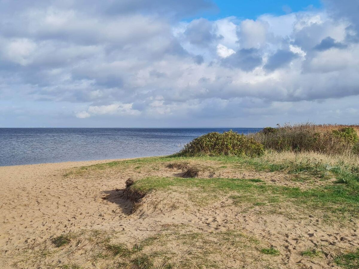 Holiday house 8 Personen Ferienhaus in Tarm - Outdoor photo 4