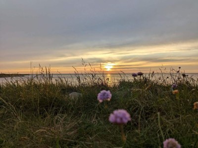 Holiday house 8 Personen Ferienhaus in Tarm - Outdoor photo 39