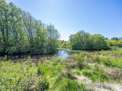 Holiday house 8 Personen Ferienhaus in Nørre Nebel - Outdoor photo 29