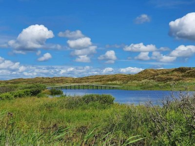Holiday house 8 Personen Ferienhaus in Nørre Nebel - Outdoor photo 34