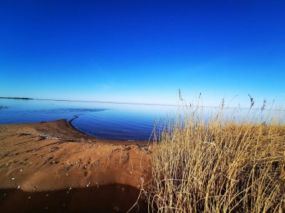 Holiday house 6 person holiday home in Tarm - Outdoor photo 49