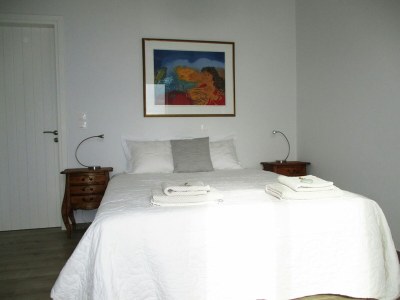 Villa Comfortable Villa near Sea in Andros - Features photo 15