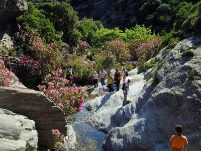Villa Comfortable Villa near Sea in Andros - Outdoor photo 39