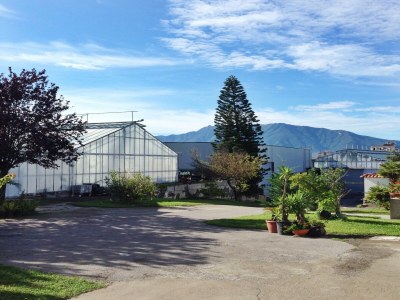 Holiday house Italienisches Appartement in Trecase mit Bergblick - Environment photo 23