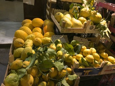 Holiday house Italienisches Appartement in Trecase mit Bergblick - Environment photo 32