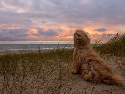 Holiday house 6 Personen Ferienhaus in Hvide Sande - Outdoor photo 18
