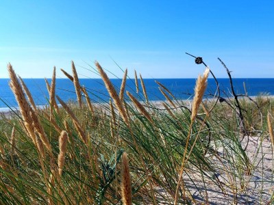 Holiday house 6 Personen Ferienhaus in Hvide Sande - Outdoor photo 22